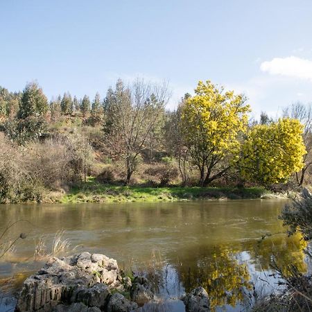 Вилла Casinha Da Aldeia Каштелу-Бранку Экстерьер фото