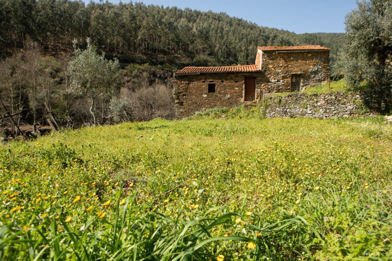 Вилла Casinha Da Aldeia Каштелу-Бранку Экстерьер фото